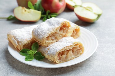 Photo of Pieces of tasty apple strudel with powdered sugar and mint on light grey table, closeup