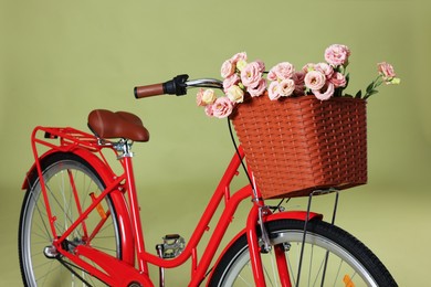 Photo of Bicycle with basket of beautiful flowers on green background
