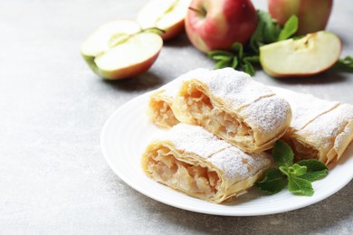 Photo of Pieces of tasty apple strudel with powdered sugar and mint on light grey table, closeup