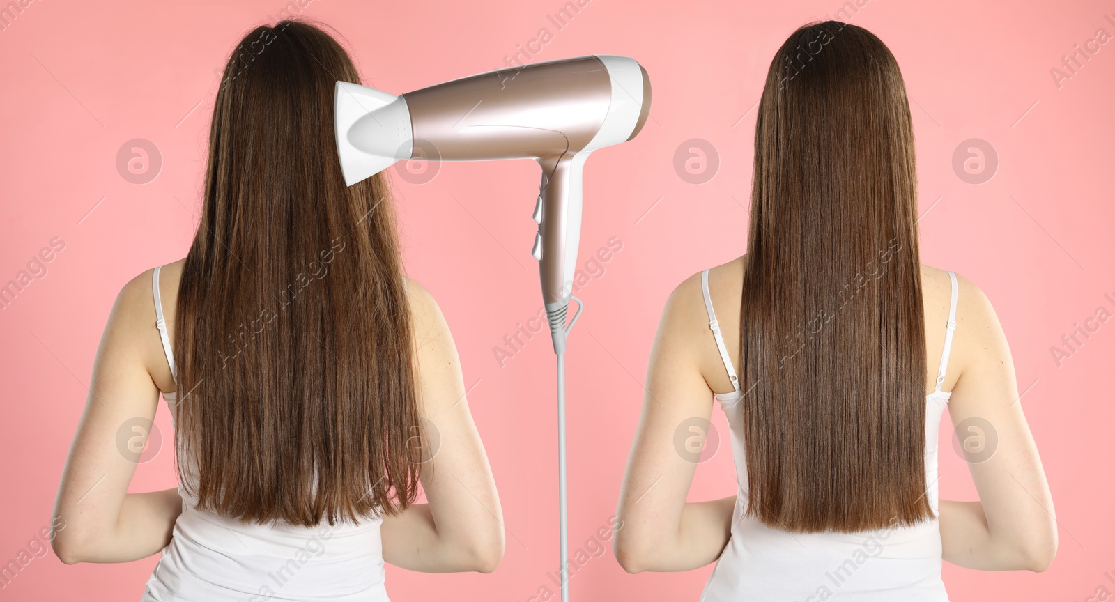 Before and after hair styling. Hair dryer between photos of woman against pink background Image of Before and after hair styling. Hair dryer between photos of woman against pink background