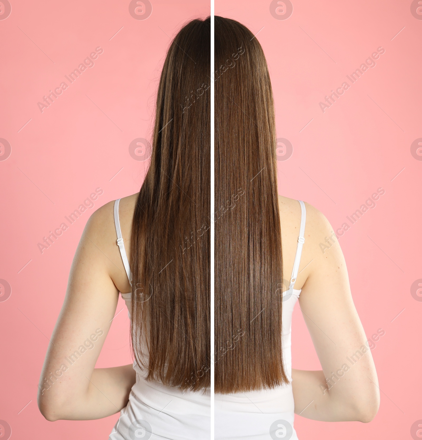 Before and after hair treatment. Photo of woman on pink background divided into halves, back view Image of Before and after hair treatment. Photo of woman on pink background divided into halves, back view