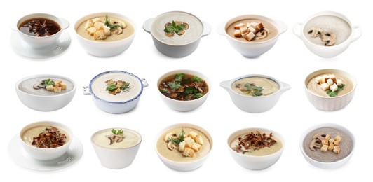Image of Delicious mushroom soups on white background, collage