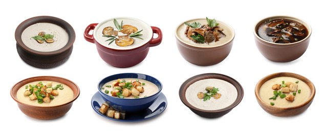 Image of Delicious mushroom soups on white background, collage