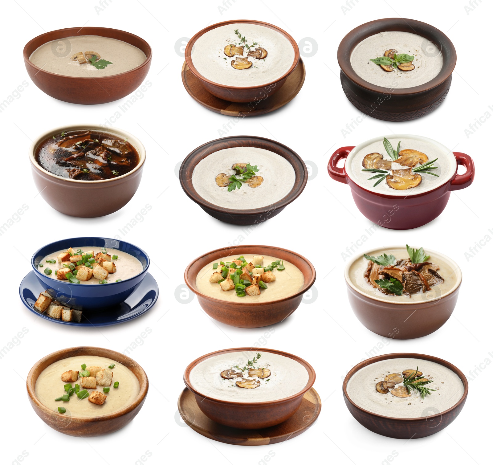 Delicious mushroom soups on white background, collage Image of Delicious mushroom soups on white background, collage
