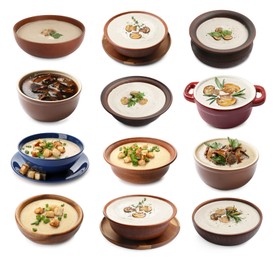 Image of Delicious mushroom soups on white background, collage
