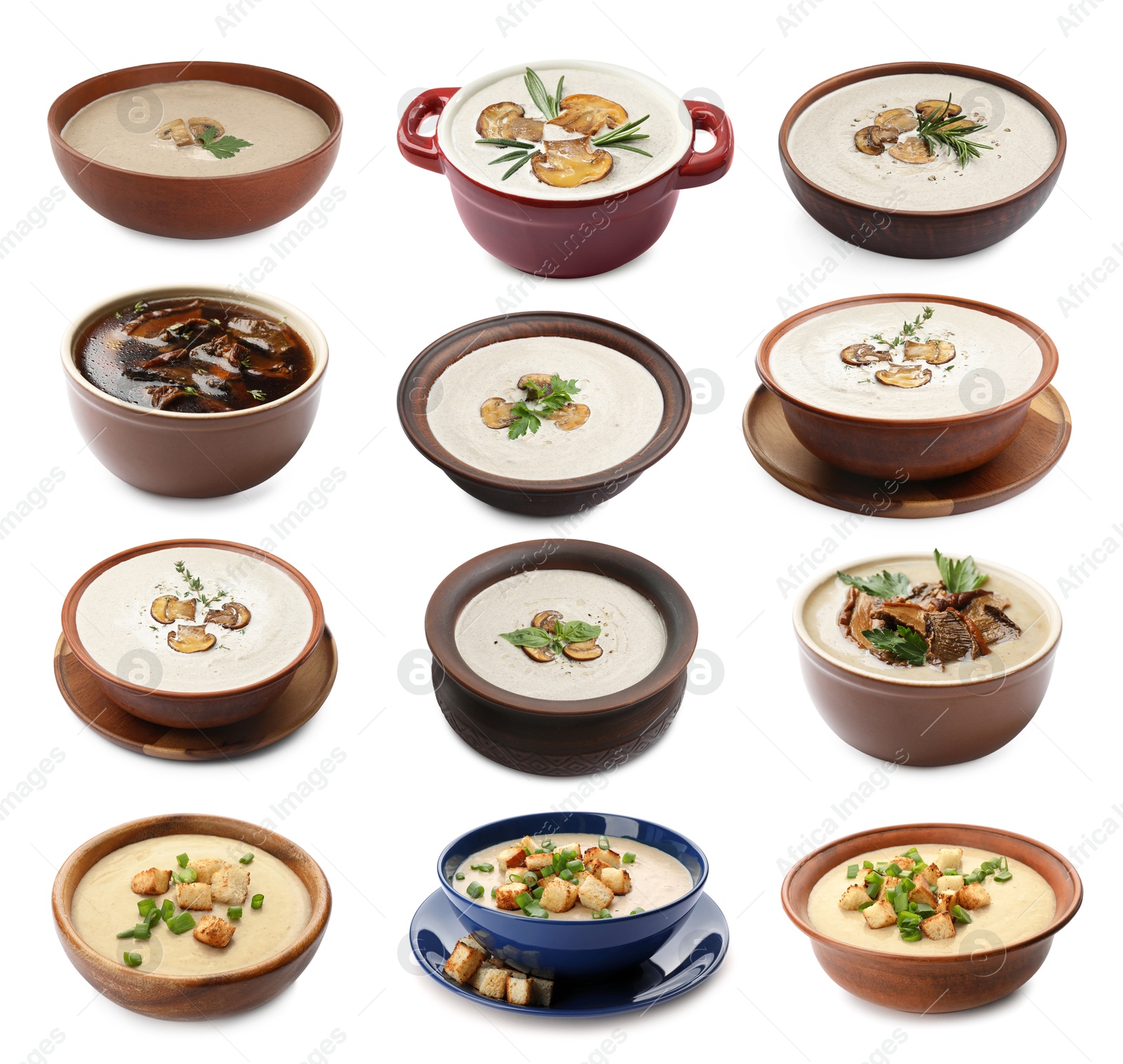 Delicious mushroom soups on white background, collage Image of Delicious mushroom soups on white background, collage