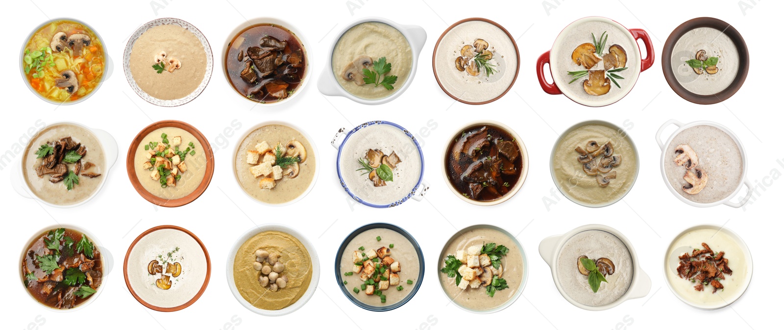 Delicious mushroom soups on white background, collage. Top view Image of Delicious mushroom soups on white background, collage. Top view