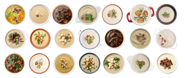 Image of Delicious mushroom soups on white background, collage. Top view