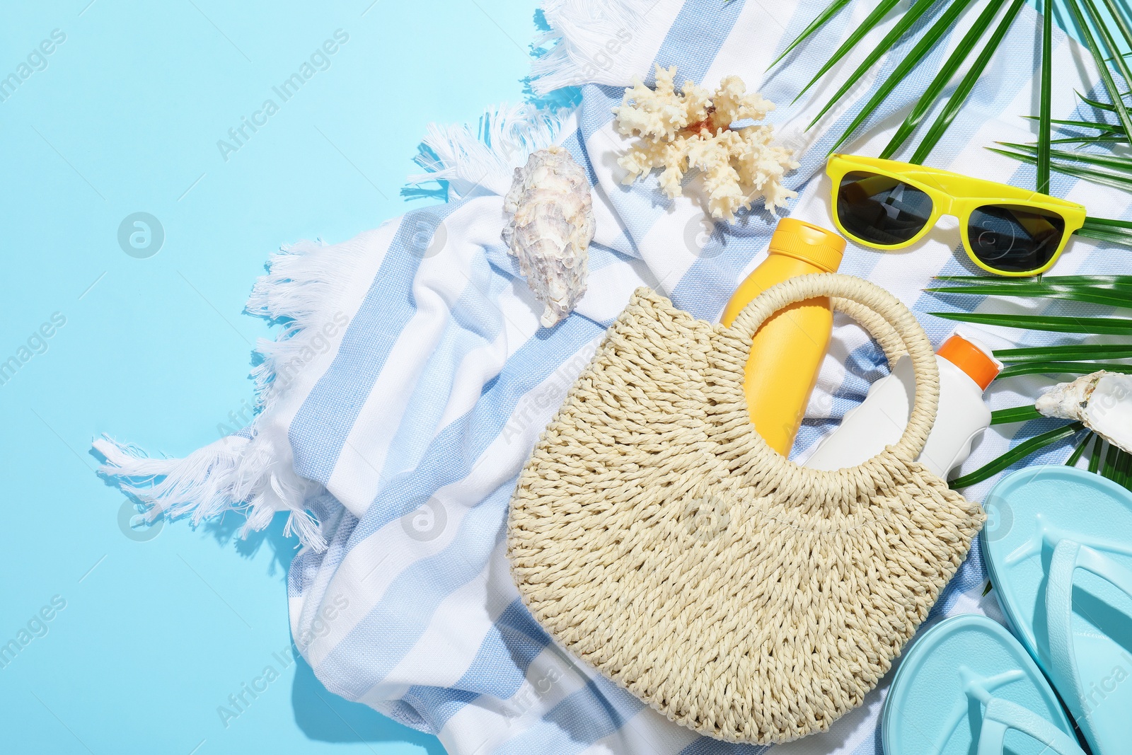 Beach accessories, sea shells and palm leaves on light blue background, flat lay Photo of Beach accessories, sea shells and palm leaves on light blue background, flat lay