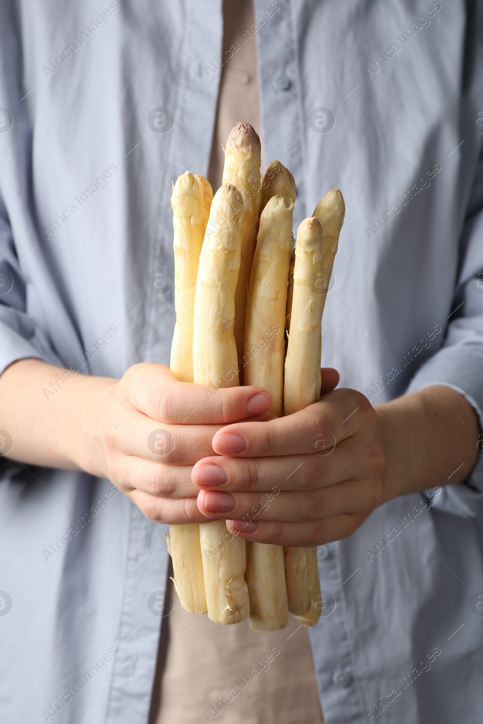 Woman with raw white asparagus spears, closeup Photo of Woman with raw white asparagus spears, closeup