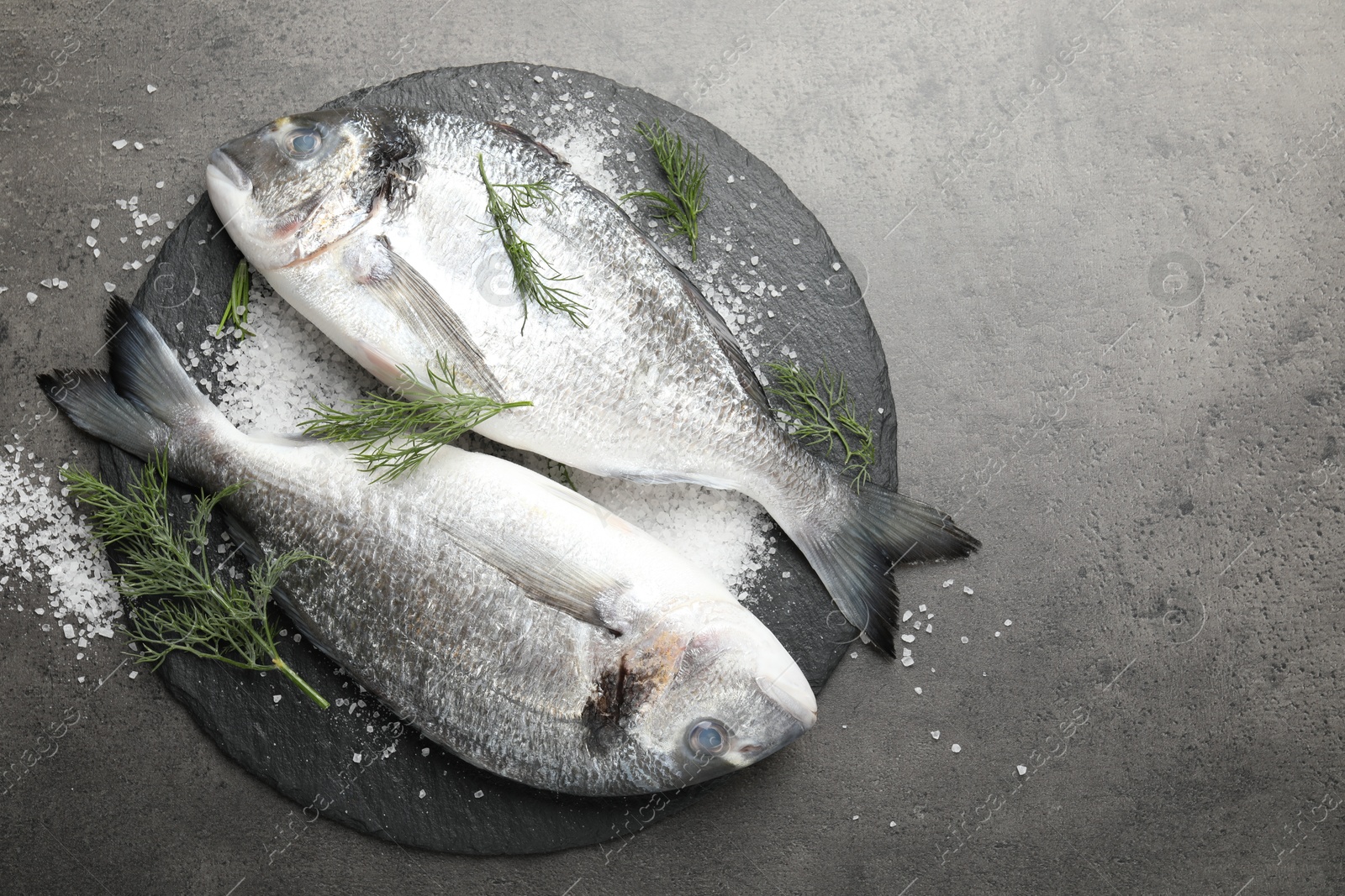 Organic seafood. Fresh raw dourade fish, salt and dill on grey table, flat lay. Space for text Photo of Organic seafood. Fresh raw dourade fish, salt and dill on grey table, flat lay. Space for text