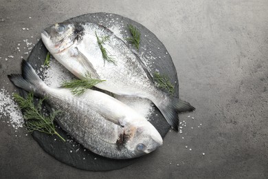 Photo of Organic seafood. Fresh raw dourade fish, salt and dill on grey table, flat lay. Space for text