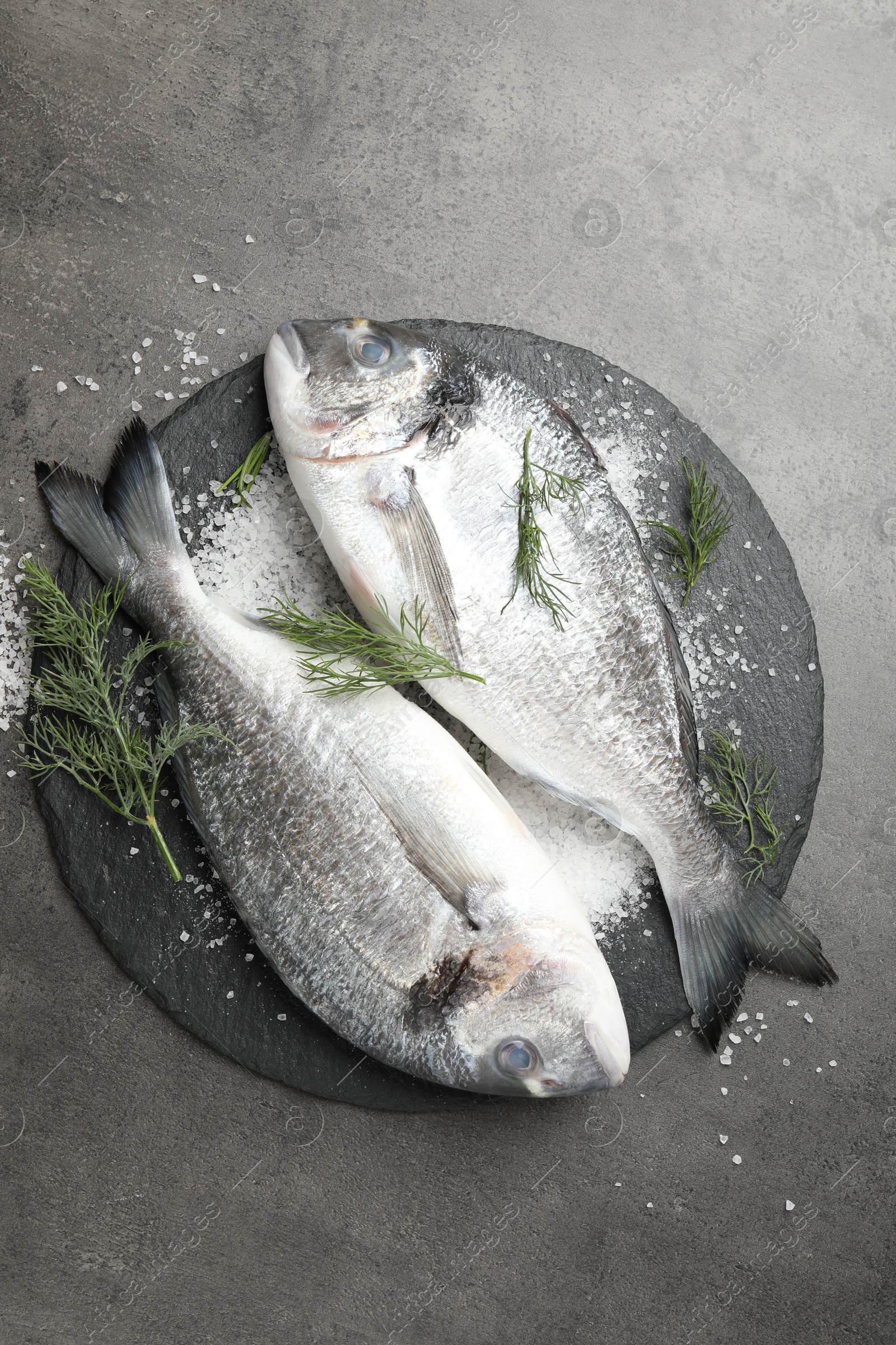 Organic seafood. Fresh raw dourade fish, salt and dill on grey table, flat lay Photo of Organic seafood. Fresh raw dourade fish, salt and dill on grey table, flat lay