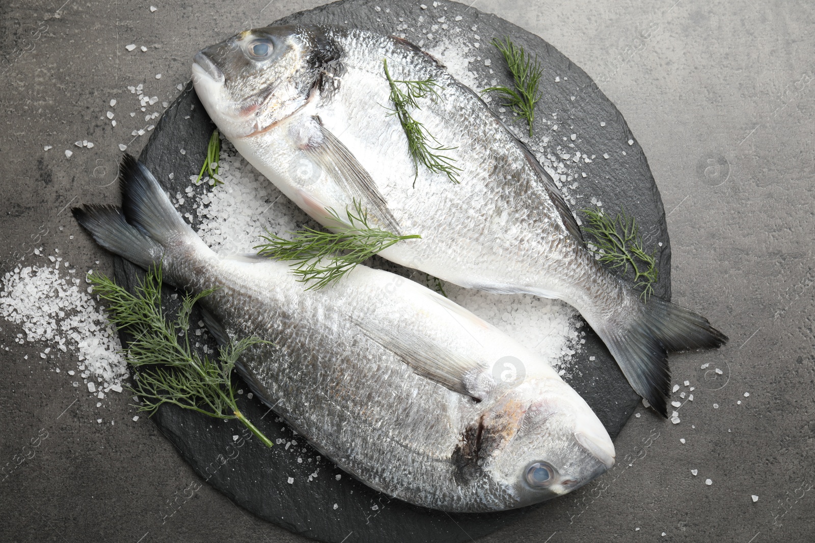 Organic seafood. Fresh raw dourade fish, salt and dill on grey table, flat lay Photo of Organic seafood. Fresh raw dourade fish, salt and dill on grey table, flat lay
