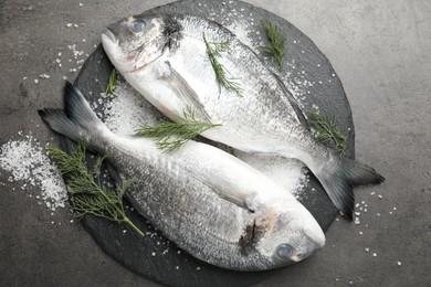 Photo of Organic seafood. Fresh raw dourade fish, salt and dill on grey table, flat lay