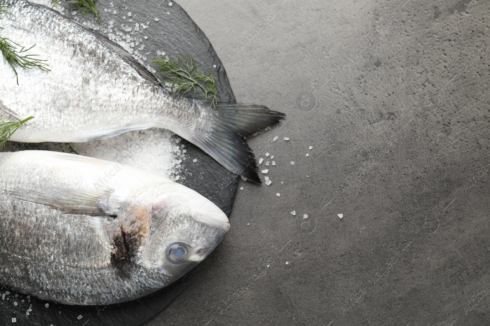 Organic seafood. Fresh raw dourade fish, salt and dill on grey table, flat lay. Space for text Photo of Organic seafood. Fresh raw dourade fish, salt and dill on grey table, flat lay. Space for text