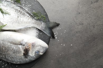 Photo of Organic seafood. Fresh raw dourade fish, salt and dill on grey table, flat lay. Space for text