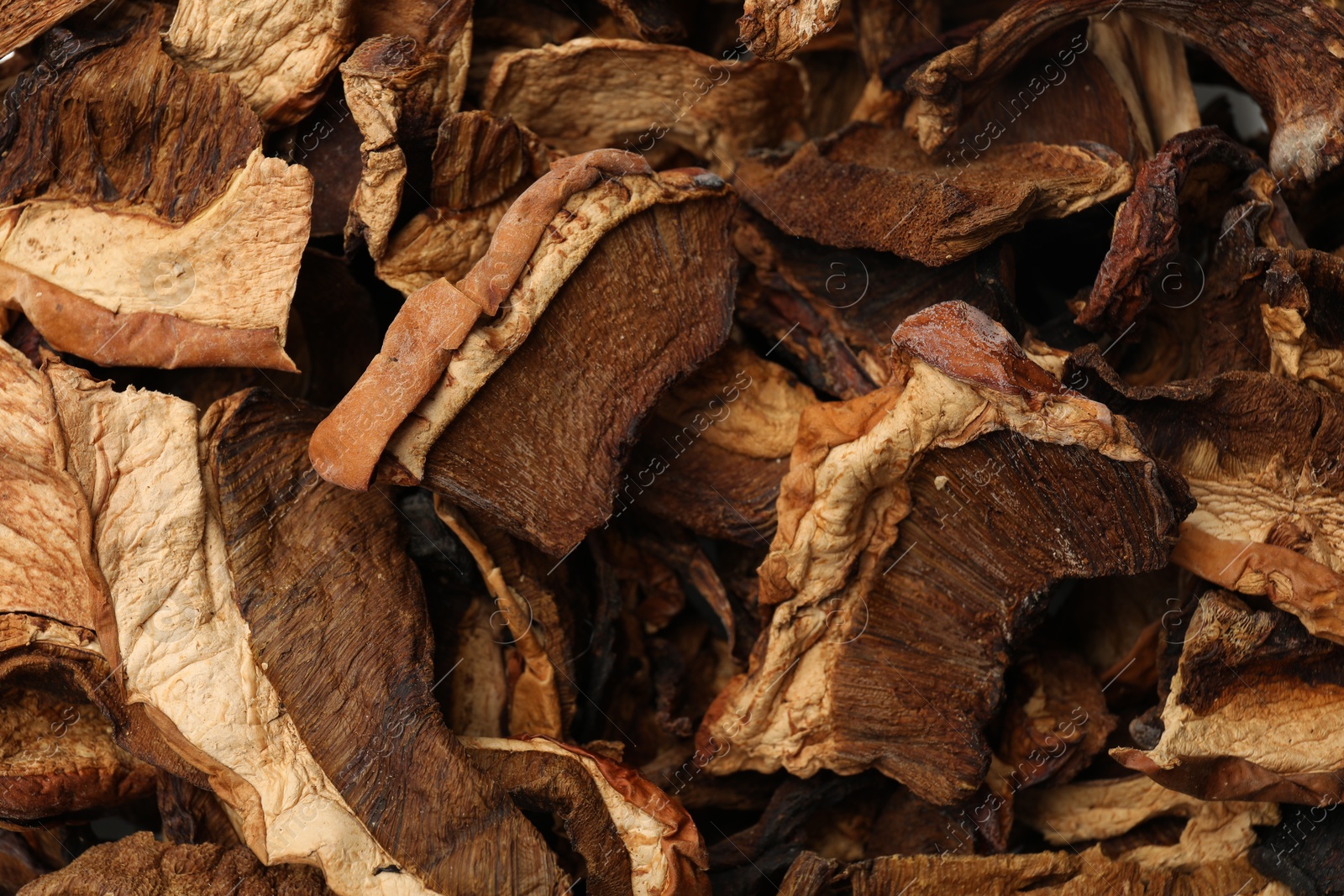 Photo of Pieces of dried mushrooms as background, top view