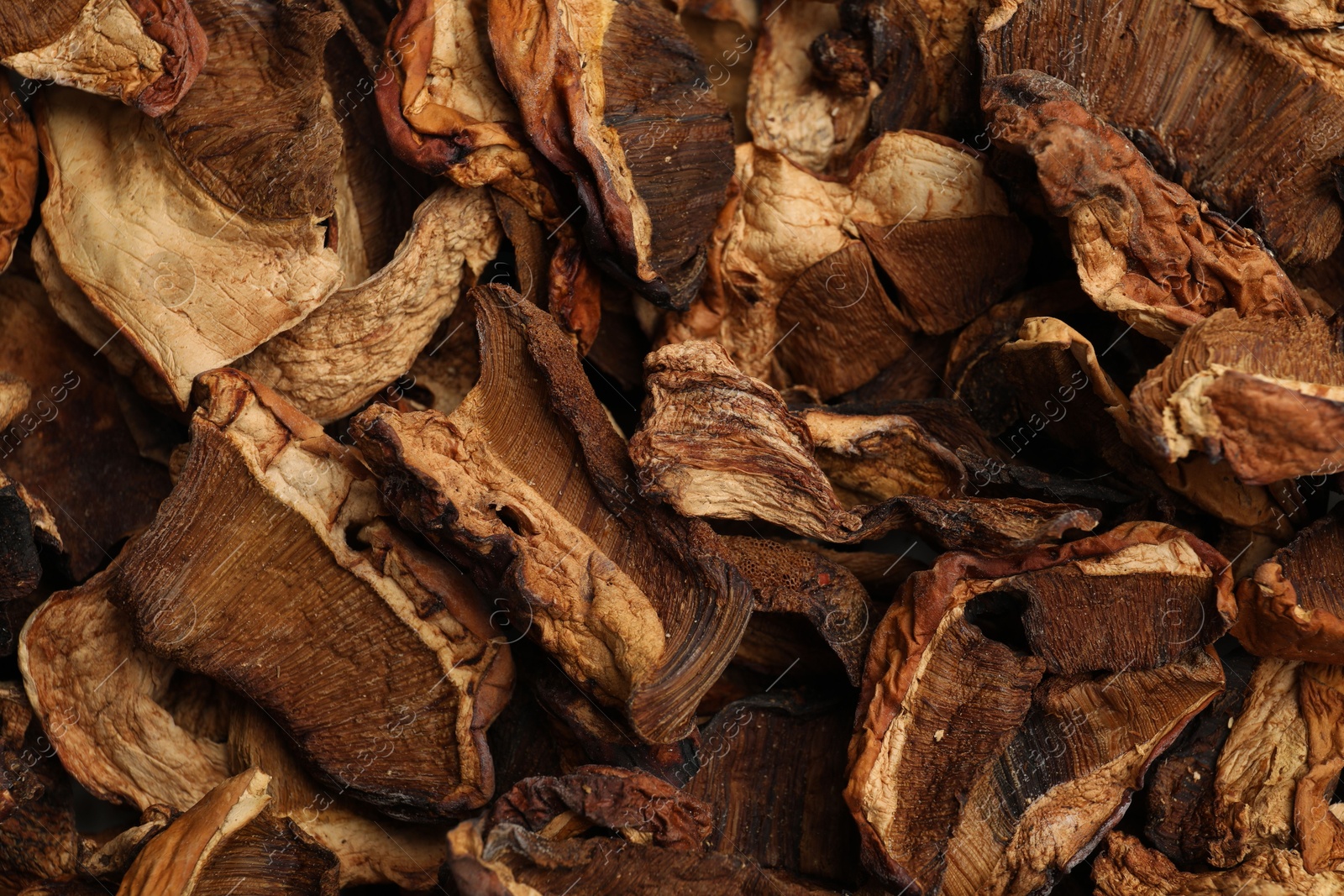 Photo of Pieces of dried mushrooms as background, top view