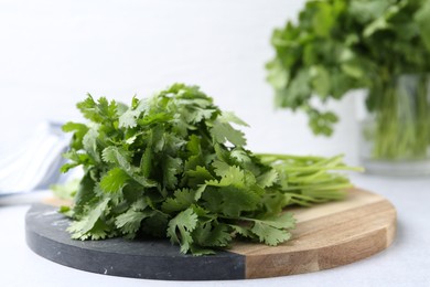 Photo of Fresh green cilantro on light table, closeup