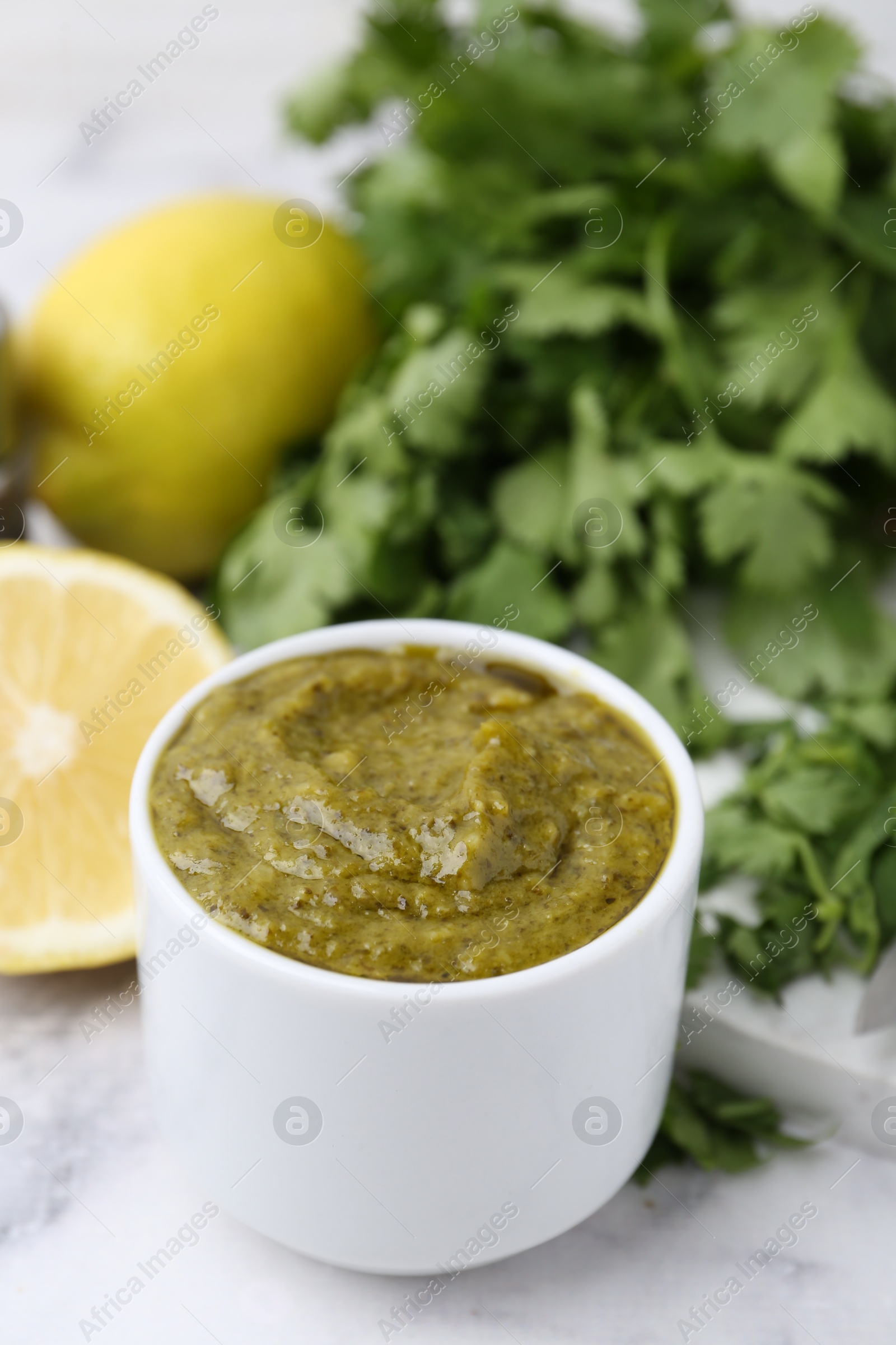 Tasty sauce with cilantro and other ingredients on white marble table, closeup Photo of Tasty sauce with cilantro and other ingredients on white marble table, closeup