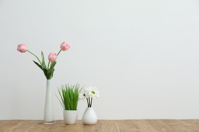 Photo of Beautiful flowers in vases and other floral decor on wooden table near white wall indoors, space for text