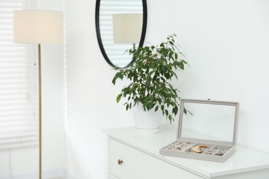 Photo of Jewelry box with many different accessories and green houseplant on white cabinet indoors