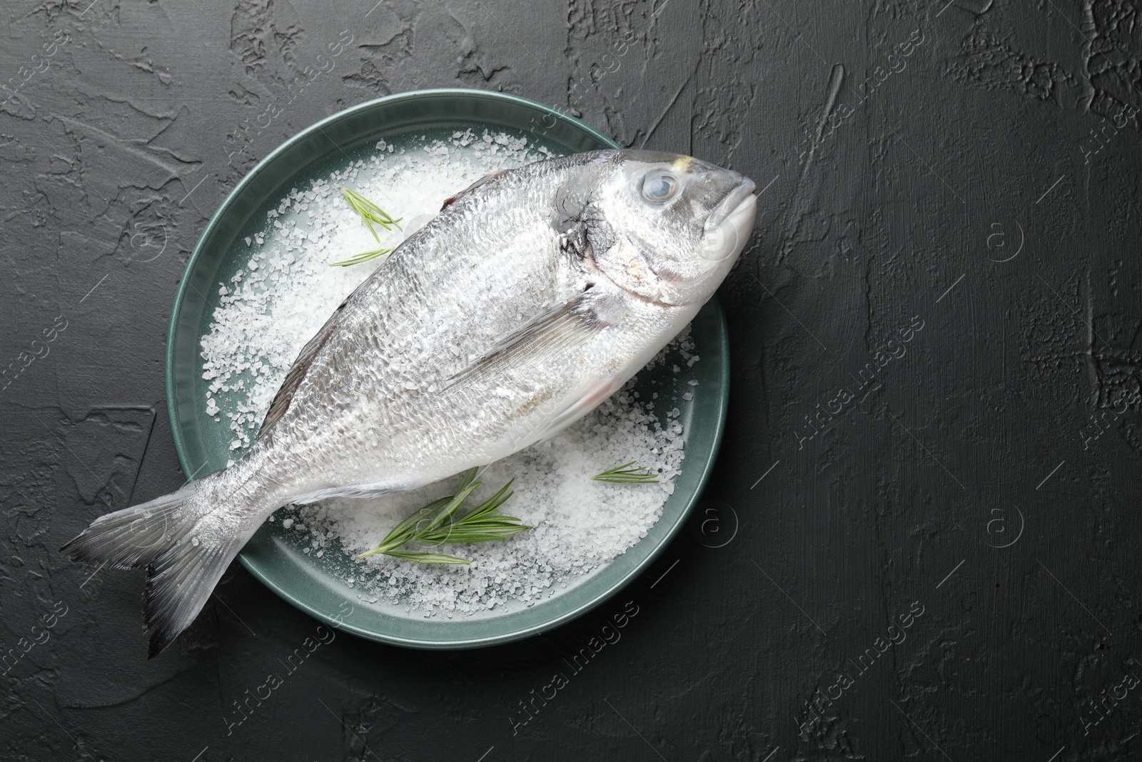 Organic seafood. Fresh raw dourade fish, salt and rosemary in bowl on black table, top view. Space for text Photo of Organic seafood. Fresh raw dourade fish, salt and rosemary in bowl on black table, top view. Space for text
