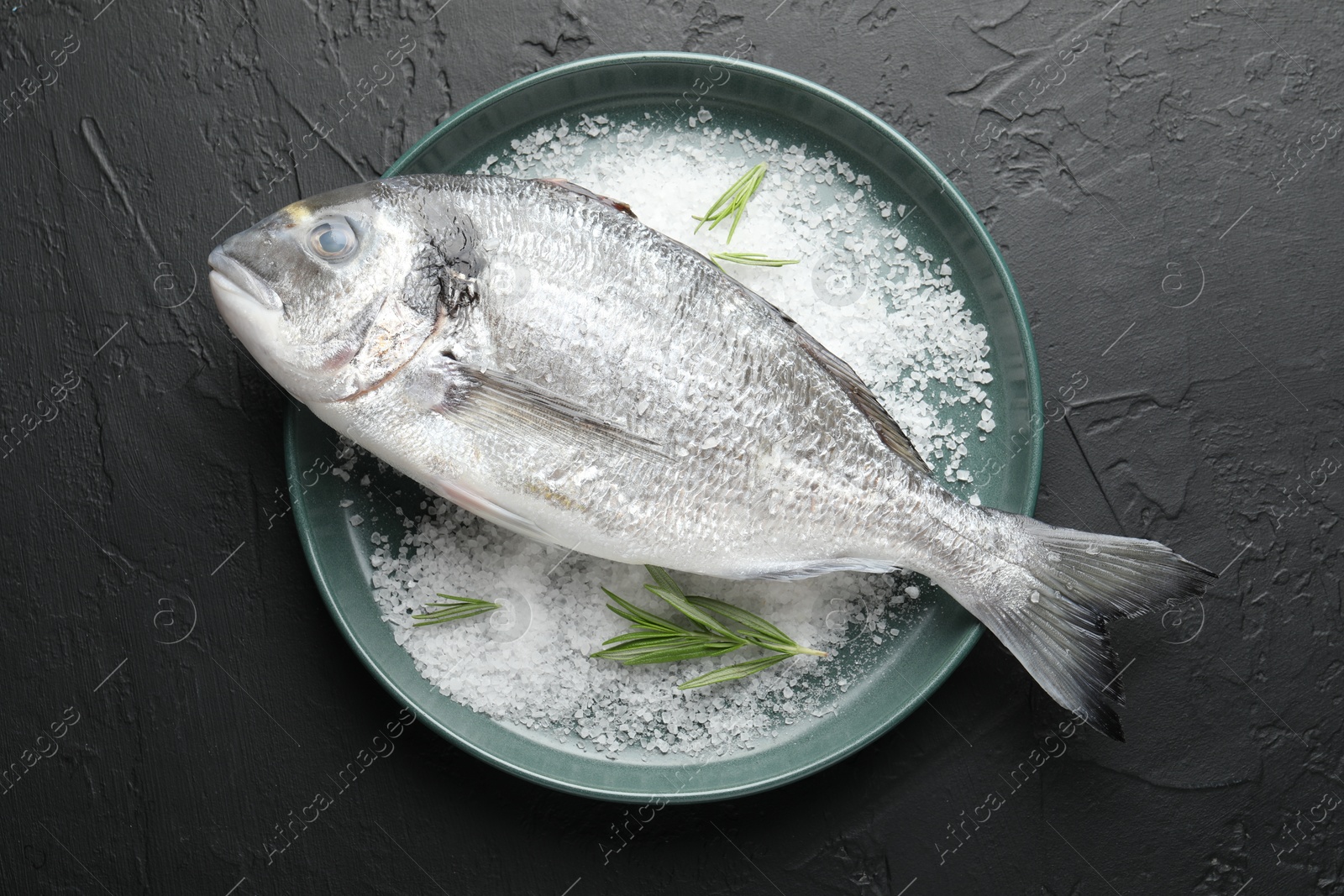 Fresh raw dourade fish, salt and rosemary in bowl on black table, top view. Organic seafood Photo of Fresh raw dourade fish, salt and rosemary in bowl on black table, top view. Organic seafood