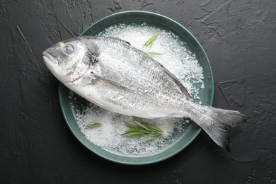 Photo of Fresh raw dourade fish, salt and rosemary in bowl on black table, top view. Organic seafood