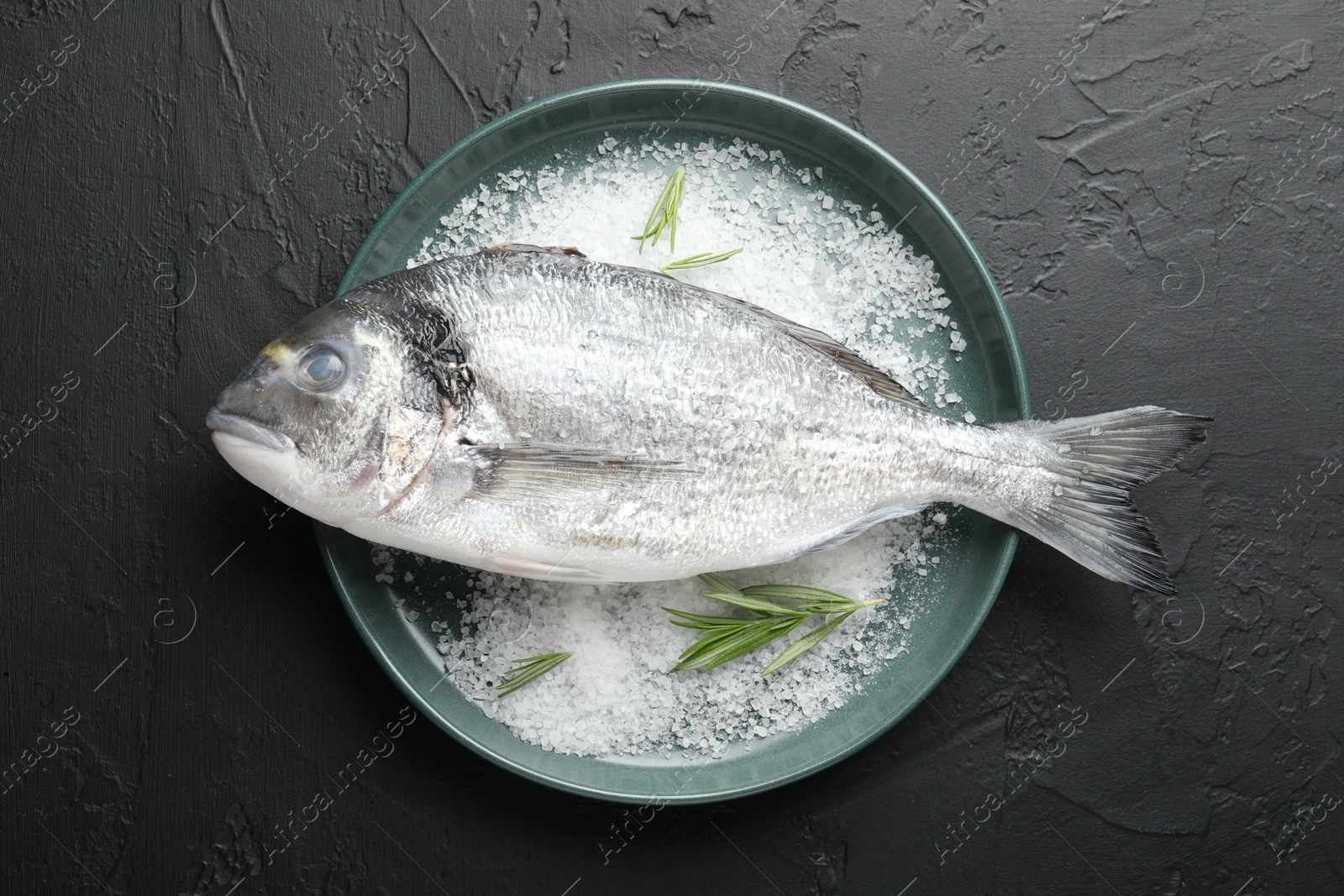 Fresh raw dourade fish, salt and rosemary in bowl on black table, top view. Organic seafood Photo of Fresh raw dourade fish, salt and rosemary in bowl on black table, top view. Organic seafood