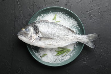 Photo of Fresh raw dourade fish, salt and rosemary in bowl on black table, top view. Organic seafood