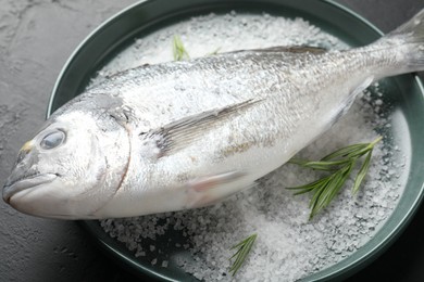 Photo of Fresh raw dourade fish, salt and rosemary in bowl on black table, closeup. Organic seafood
