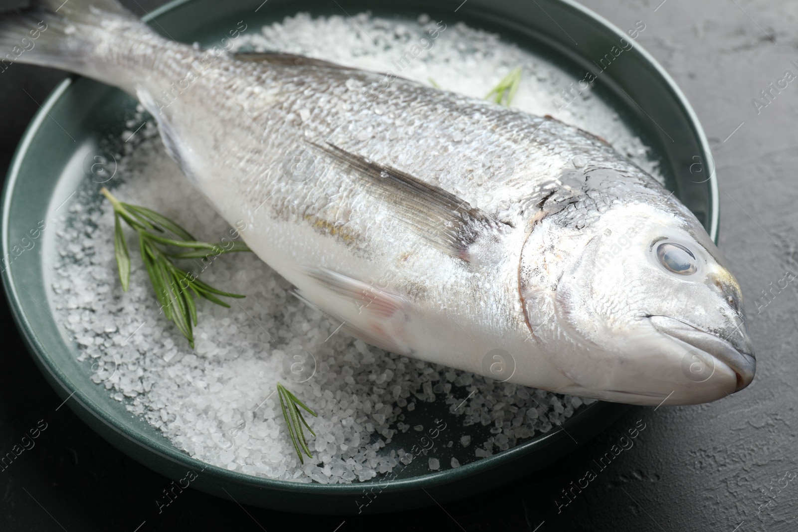 Fresh raw dourade fish, salt and rosemary in bowl on black table, closeup. Organic seafood Photo of Fresh raw dourade fish, salt and rosemary in bowl on black table, closeup. Organic seafood