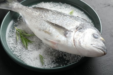 Photo of Fresh raw dourade fish, salt and rosemary in bowl on black table, closeup. Organic seafood