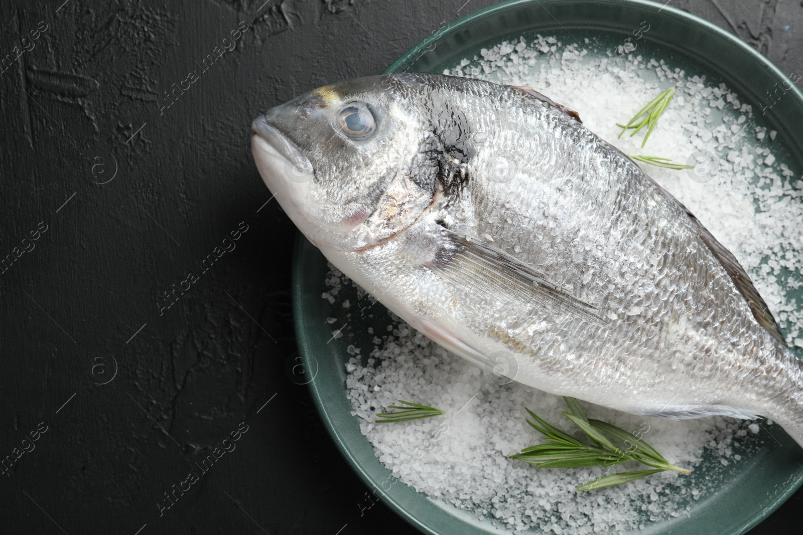 Organic seafood. Fresh raw dourade fish, salt and rosemary in bowl on black table, top view. Space for text Photo of Organic seafood. Fresh raw dourade fish, salt and rosemary in bowl on black table, top view. Space for text
