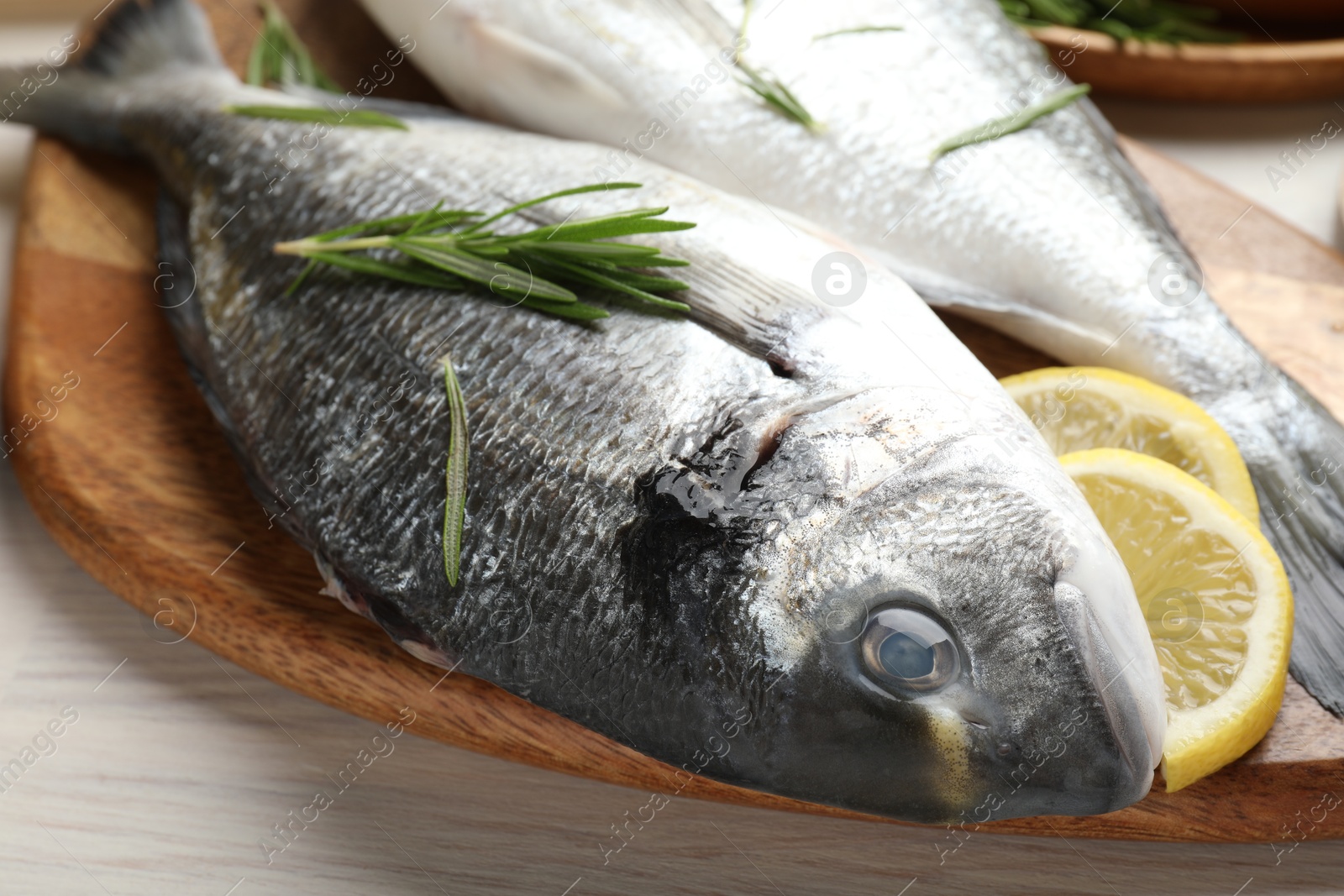 Fresh raw dourade fish, lemon slices, rosemary and spices on white wooden table, closeup. Organic seafood Photo of Fresh raw dourade fish, lemon slices, rosemary and spices on white wooden table, closeup. Organic seafood