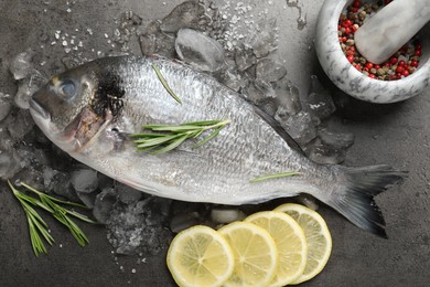 Photo of Fresh raw dourade fish, ice, lemon slices and rosemary on grey table, flat lay. Organic seafood