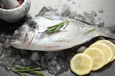 Photo of Fresh raw dourade fish, ice, lemon slices and rosemary on grey table, closeup. Organic seafood