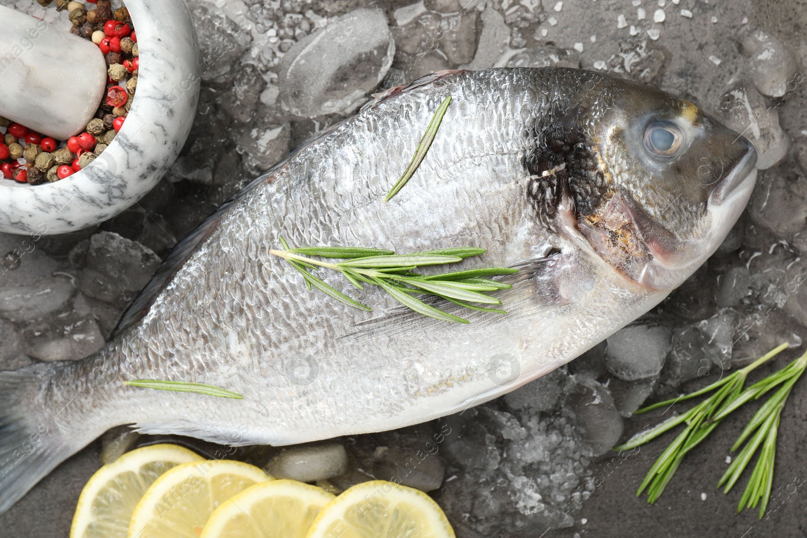 Fresh raw dourade fish, ice, lemon slices and rosemary on grey table, flat lay. Organic seafood Photo of Fresh raw dourade fish, ice, lemon slices and rosemary on grey table, flat lay. Organic seafood