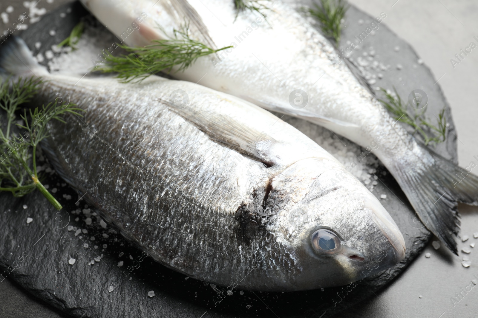 Organic seafood. Fresh raw dourade fish, salt and dill on grey table, closeup Photo of Organic seafood. Fresh raw dourade fish, salt and dill on grey table, closeup