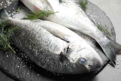 Photo of Organic seafood. Fresh raw dourade fish, salt and dill on grey table, closeup