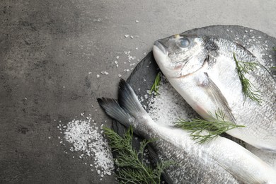 Photo of Organic seafood. Fresh raw dourade fish, salt and dill on grey table, flat lay. Space for text