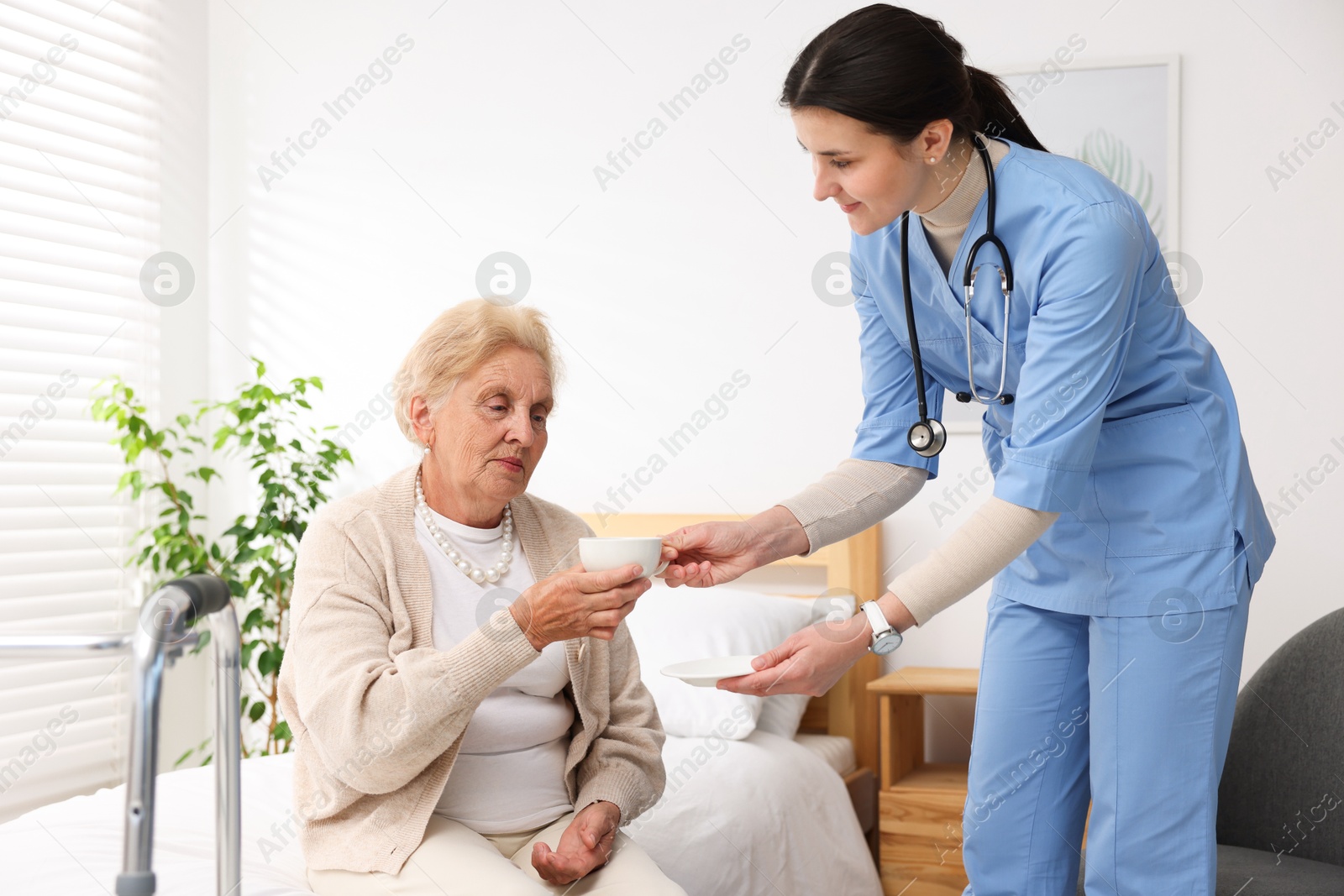 Nurse giving cup of drink to senior woman indoors. Home health care service Photo of Nurse giving cup of drink to senior woman indoors. Home health care service