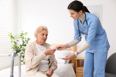Photo of Nurse giving cup of drink to senior woman indoors. Home health care service