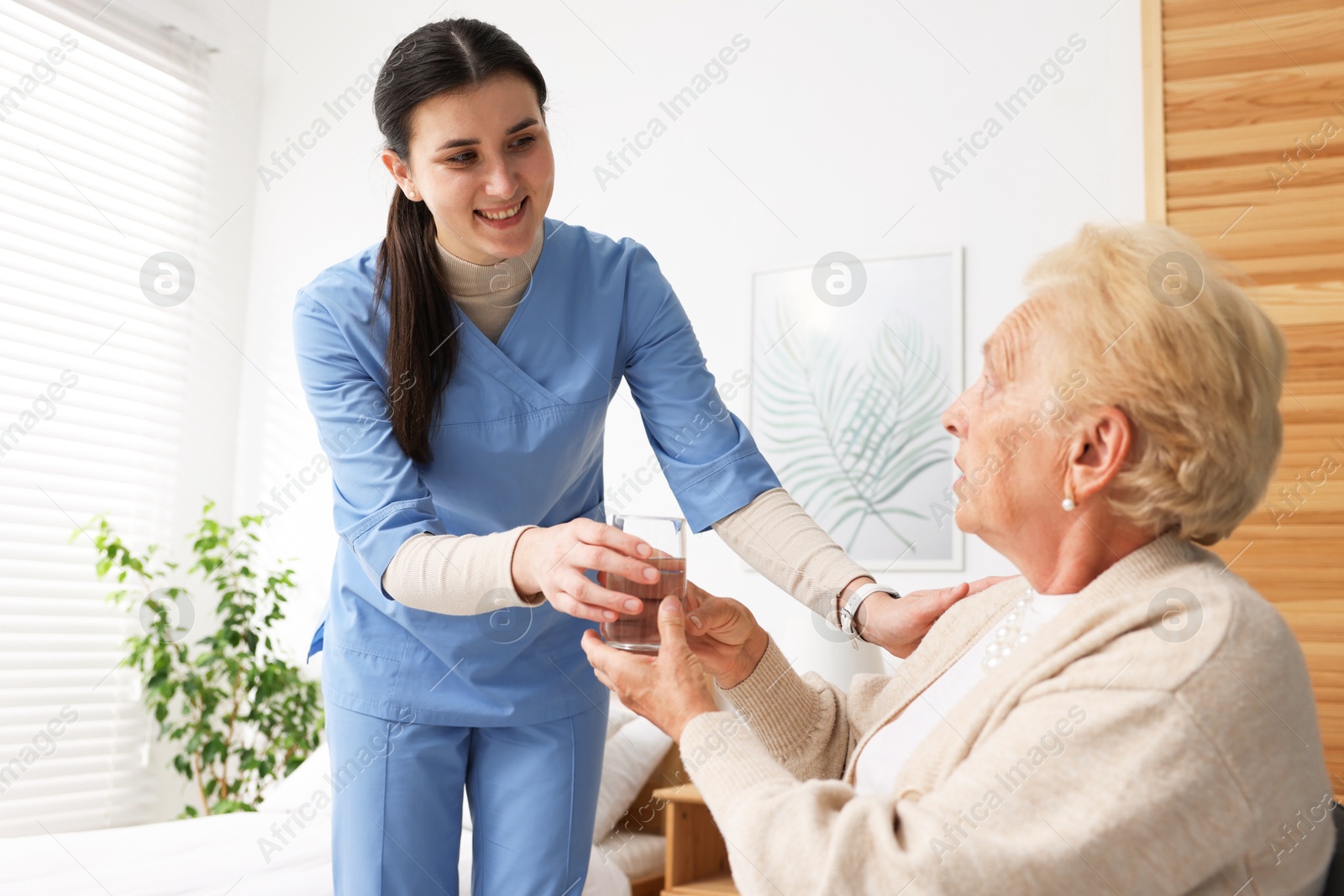 Nurse giving water to senior woman on sofa indoors. Home health care service Photo of Nurse giving water to senior woman on sofa indoors. Home health care service