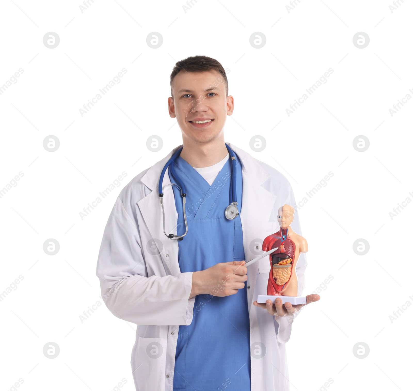 Medical student with human body model on white background Photo of Medical student with human body model on white background