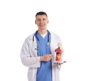 Photo of Medical student with human body model on white background