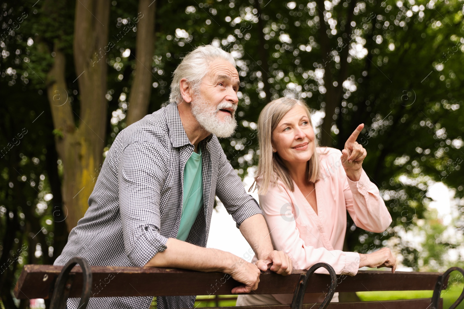 Lovely senior couple near wooden bench in park Photo of Lovely senior couple near wooden bench in park
