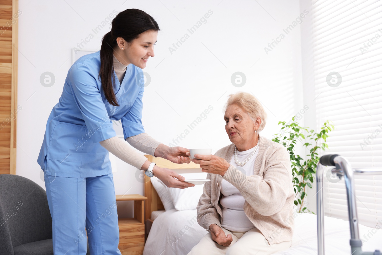 Nurse giving cup of drink to senior woman indoors. Home health care service Photo of Nurse giving cup of drink to senior woman indoors. Home health care service